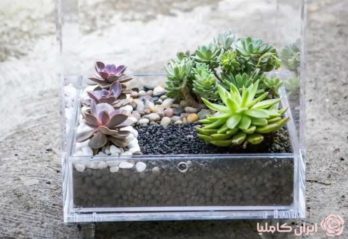 فلاورباکس شیشه ای